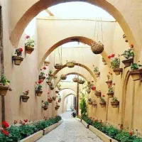 تور 2.5 روزه کویر کاراکال و یزد گردی اقساطی