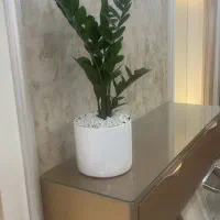 اجاره-مغازه-28-متری-منظریه-در-مجتمع-ماهور