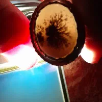 شجر،منظره برفی زمستانه ،کارکمیاب خاص|جواهرات|خرمآباد, |دیوار