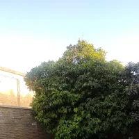 فروش خانه در محله سنگ سیاه