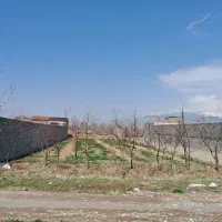 زمین ۶۶۰ متر در فوشنجان|فروش زمین و ملک کلنگی|نیشابور, فضل|دیوار