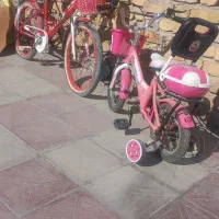 دو عدد دوچرخه