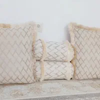 پشتی تمیز در حدنو چند بار بیشتر استفاده نشده