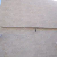 اوستا کا شیکار وسنگکار وسرامیکار وراه پله ولکه|خدمات پیشه و مهارت|زابل, |دیوار