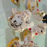 جنس پلی استر