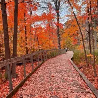 ادیت عکس خام