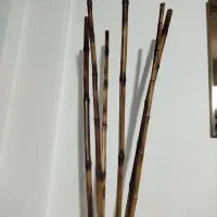 فقط شاخه های داخل گلدون فروشی هست ..‌|گل مصنوعی|قوچان, |دیوار