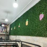 فنس برگی برگ ریحون