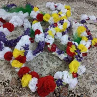 گل گردنی حلقه گل