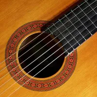 اموزش گیتار ۱ تومان