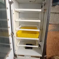 دستگاه جوجه کشی فاخته ۲۱۰تایی عالی|لوازم جانبی حیوانات|کرمانشاه, |دیوار