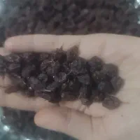 کشمش و مویز|خوردنی و آشامیدنی|باغستان, |دیوار