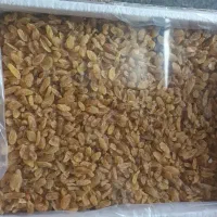 کارگر جهت بسته بندی موادغذایی