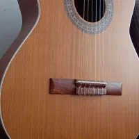 گیتار m5همراه کیف و کاپو|گیتار، بیس، امپلیفایر|آبیک, |دیوار