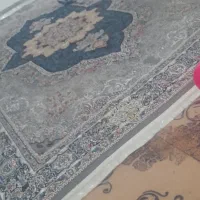 فرش12متری|فرش|اهواز, کمپلو جنوبی|دیوار