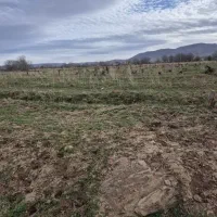 ۴ جریب زمین ابهر