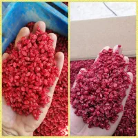 زرشک امسالی (پخش عمده)|عمده‌فروشی|قائن, |دیوار