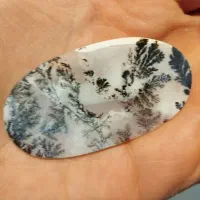 ۳سنگ مصور کلکسیونی|کلکسیون اشیاء عتیقه|مشهد, دانشجو|دیوار