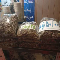 تخمه کانادایی|خوردنی و آشامیدنی|مشهد, پایین خیابان|دیوار
