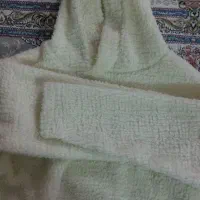 کراپ هودی تدی