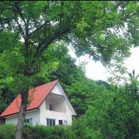 ویلای دنج جنگلی بر فراز منطقه بام کشپل