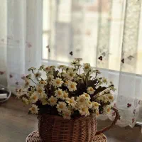 گل بابونه و گلدان حصیری