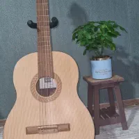 گیتار بنبرگ