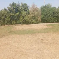 یک قطعه۶۰۰ متری باغ در اسکندر آباد