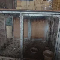 قفس فنس یک طبقه
