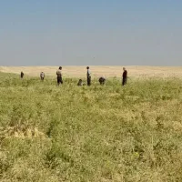 کارگر کشاورزی و سرکارگری
