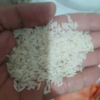 برنج هاشمی|خوردنی و آشامیدنی|شفت, |دیوار