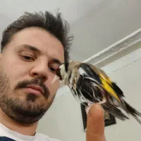 سهره قناری اوستا