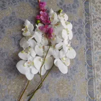 گ ل م ص ن و ع ی