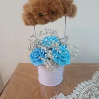 باکس گل شمعی