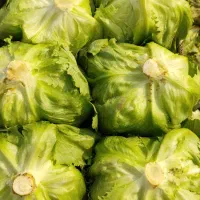 ورامین کاهو