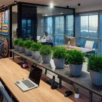 استخدام نیروی آقا