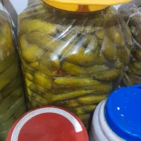 ترشی مخلوط و خیار شور|خوردنی و آشامیدنی|شیراز, بالا کفت|دیوار