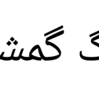 سگ پیدا شده