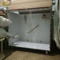 قفس پرنده دستساز زیبا|لوازم جانبی حیوانات|شیراز, ده پیاله|دیوار