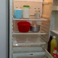 یخچال تروتمیز