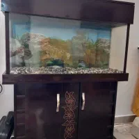 اکواریوم با پایه