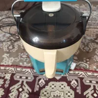 آبمیوه گیری اصل ژاپن