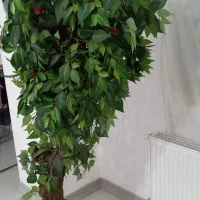 درخت گیلاس با تنه طبیعی گل و گلدون اشانتیون|گل مصنوعی|اسلامشهر, شهرک واوان|دیوار