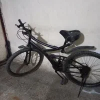 دوچرغه ۲۴خوب وسرحال
