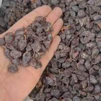 کشمش مویز|خوردنی و آشامیدنی|تهران, شهرک دانشگاه شریف|دیوار