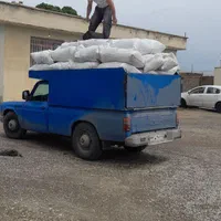 کود دهی ریتق کبوتر شیروانی و سوله