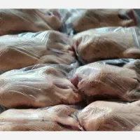 گوشت اردک مرغ خروس غاز پرکنده و پاک شده تازه
