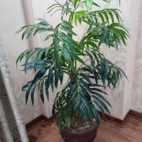 درخت مصنوعی همراه گلدان