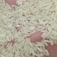 برنج محلی فجر پنج ستاره|خوردنی و آشامیدنی|شیراز, محراب|دیوار