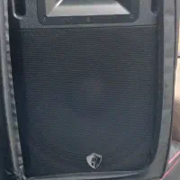 باند اکتیو  پسیو  فلشخور